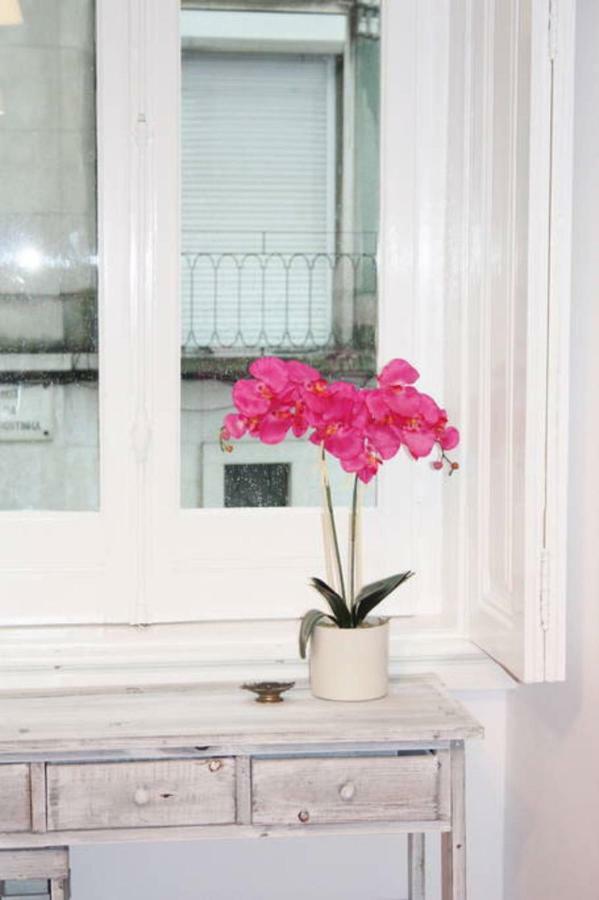 Appartement Spacious And Elegant Family - Bp1 *